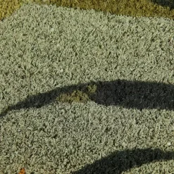 Bambou Capacho Verde