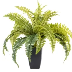 Boston Sambaia Verde