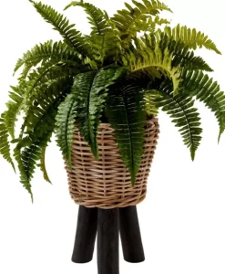 Boston Sambaia Verde