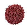 Boxwood Bola Buxo Vermelho