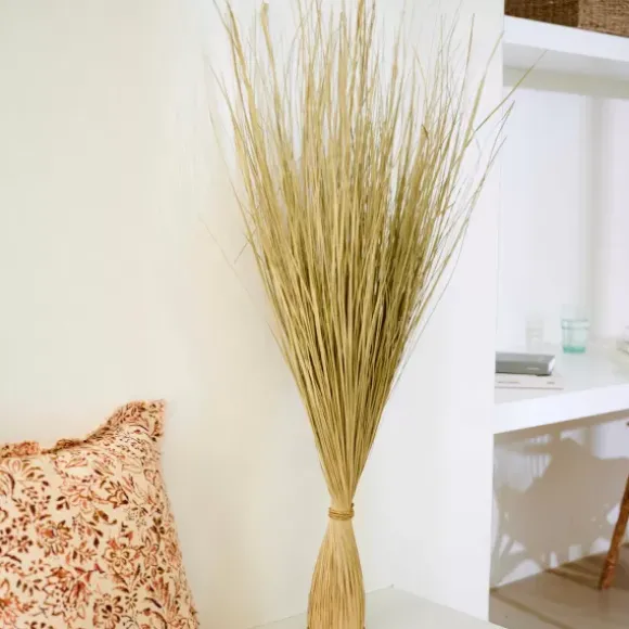 Cogon Feixe De Relva Natural