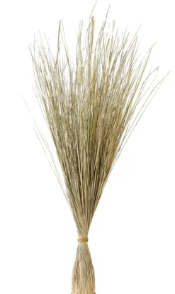 Cogon Feixe De Relva Natural