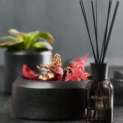 Escape Japanese Ceremony Leo Perfumado