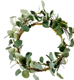 Eucalyptus Coroa Verde