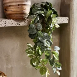 Fittonia Grinalda De Folhas Verde