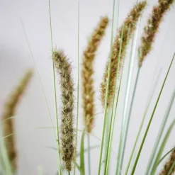 Grass Cana Artificial Verde