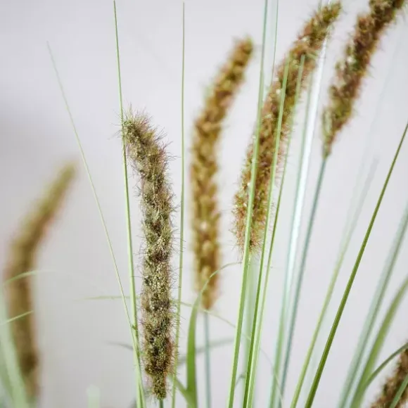 Grass Cana Artificial Verde