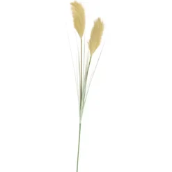 Grass Pan Cula De Cana Verde