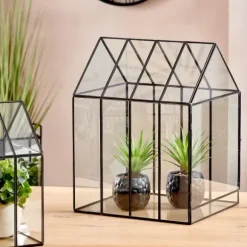 Greenhouse Estufa Transparente