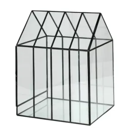 Greenhouse Estufa Transparente