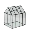 Greenhouse Mini Estufa Transparente