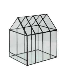 Greenhouse Mini Estufa Transparente