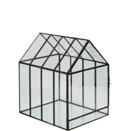 Greenhouse Mini Estufa Transparente