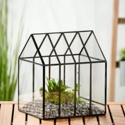 Greenhouse Mini Estufa Transparente