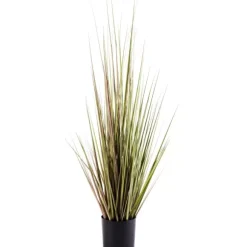 Herba Relva Em Vaso Verde