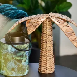 Hyacinth Palmeira Decorativa Natural