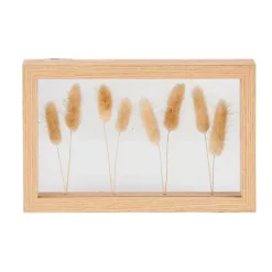 Lagurus Decora O De Parede Natural