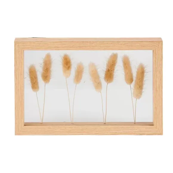 Lagurus Decora O De Parede Natural