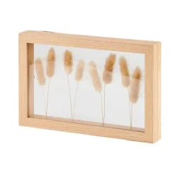 Lagurus Decora O De Parede Natural