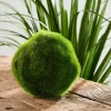 Moss Bola De Musgo Verde