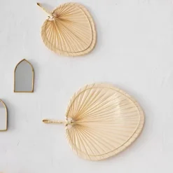 Palmino Folha De Palmeira Natural