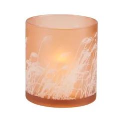 Pampas Lamparina Cor-De-Laranja