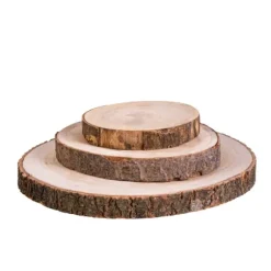 Paulo Prato De Madeira Castanho