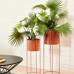 Pluto Vaso Terracota