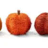 Pumpkin Decora O Cor-De-Laranja