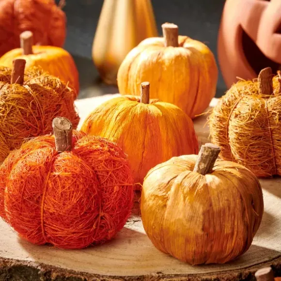 Pumpkin Decora O Cor-De-Laranja