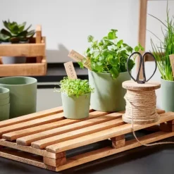 Recycle Base Para Pote Natural