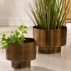 Saturn Vaso Bronze