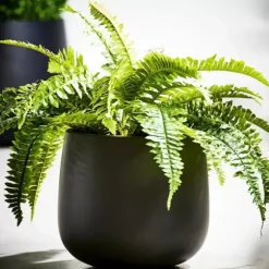 Sense Vaso De Jardim Preto