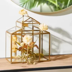 Serre Terr Rio Para Planta Dourado