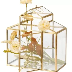 Serre Terr Rio Para Planta Dourado