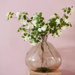 Simplicity Jarra Castanho