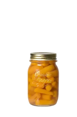 Stagioni Boi O Transparente