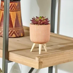 Stripe Cr Ssula Artificial Em Pote Multicolor