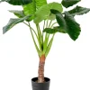 Taro Planta Artificial Ar O Verde