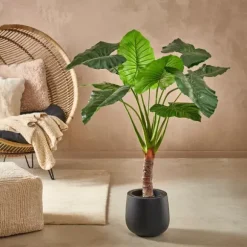 Taro Planta Artificial Ar O Verde
