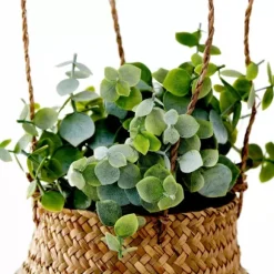 Terra Planta Em Vaso Branco, Verde