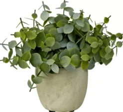 Terra Planta Em Vaso Branco, Verde