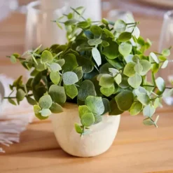 Terra Planta Em Vaso Branco, Verde