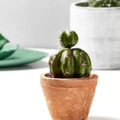 Tierra Vaso Terracota