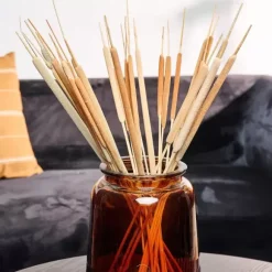 Typha Canas Conjunto De 15 Natural