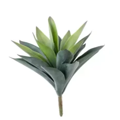 Vera Vetplant Op Stick Verde