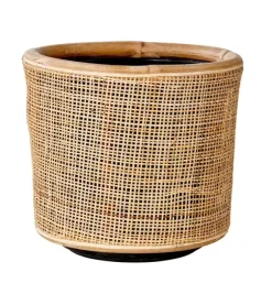 Webbing Vaso Natural