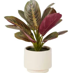 Zebrina Planta Artificial